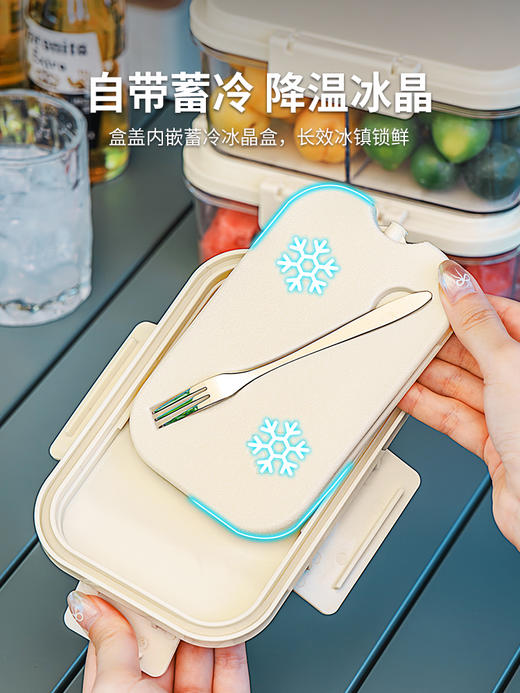 户外水果冰镇保鲜盒手提式便当盒塑料密封盒食品级家用冰箱收纳盒 商品图2
