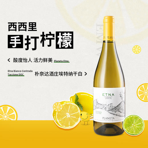 朴奈达酒庄 Etna埃特纳【火山】葡萄酒  Planeta Etna DOC  意大利/西西里Sicily 商品图0
