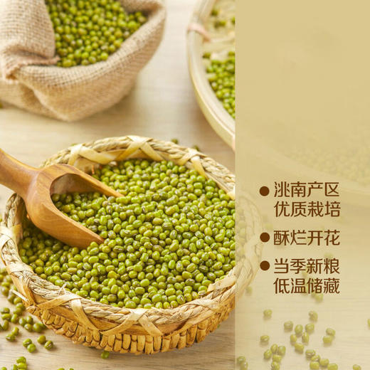 【仅剩10份】中粮初萃洮南绿豆1kg-（效期至26年5月25日）-专享价 商品图3
