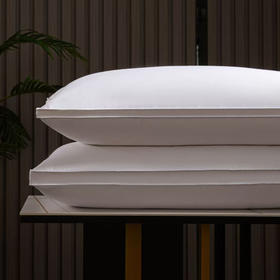 臻品鹅绒立体枕