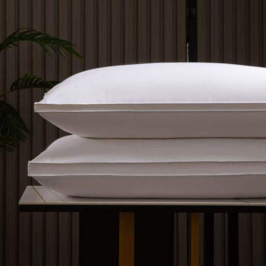 臻品鹅绒立体枕 商品图0