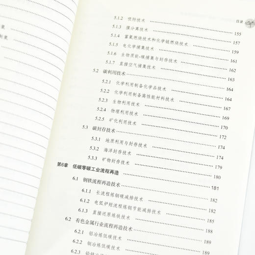 绿色低碳技术“双碳”目标的科技支撑 环境保护环保书籍 碳达峰碳中和碳排放 节能减排 绿色经济 创新发展 商品图3