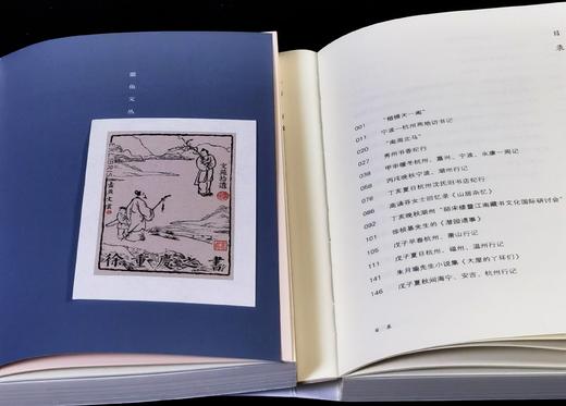 蠹鱼文丛：《越踪集》+《文苑拾遗》+《文学课》，徐雁、徐重庆、戴建华著，浙江古籍出版社2017年左右版，350+298+440页，三册总定价：153，售价42元。 商品图2