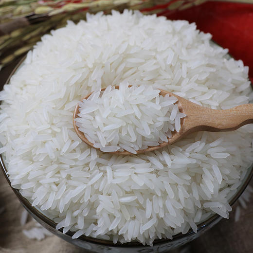 万年贡 长粒香软米御露香软米 500g 商品图1