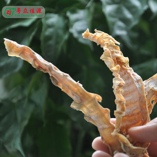 广东清远连州市粤众佳源冬笋干200g/袋 商品图3