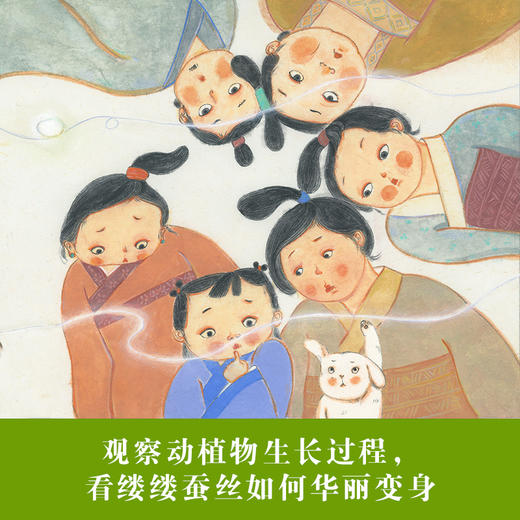 小晴养蚕 商品图4