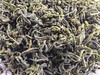 【直播结缘礼】[日照绿茶] 专属尝鲜50g/袋*1袋 商品缩略图1