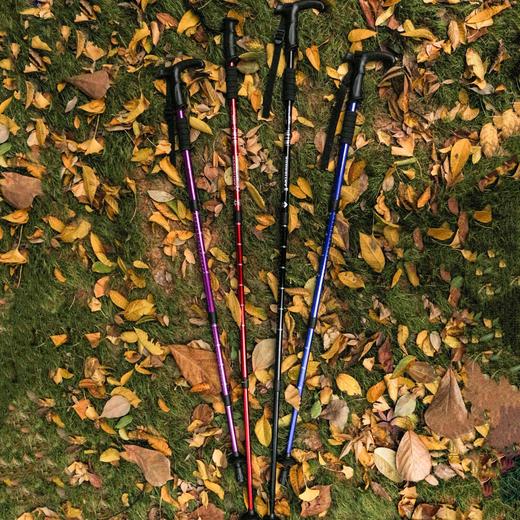 户外旅游登山杖可伸缩爬山户外运动拐杖铝合金徒步杖拐棍手杖 商品图0