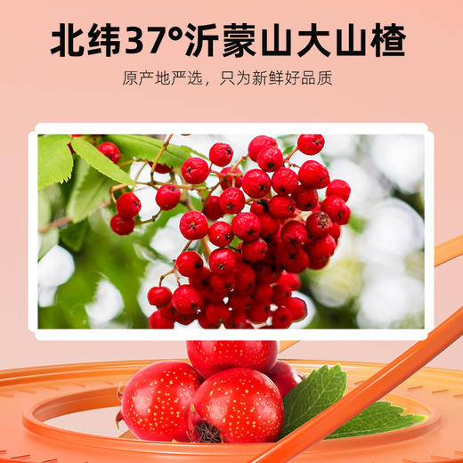 杞里香25g袋装山楂干沂蒙山大山楂解腻好搭档 商品图1