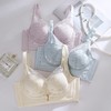 梨园春色 文胸(VIP) 内衣女舒适聚拢有型薄款聚拢收副乳无钢圈文胸 商品缩略图4