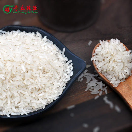 广东清远连州市粤众佳源象牙香米5kg/袋 商品图3