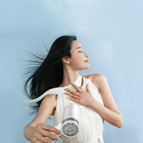 美的高速电吹风FG3钛金灰【分仓直发，72小时发货，周末节假日不发货】