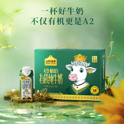 认养一头牛 黑土限定A2 β-酪蛋白有机纯牛奶250ml*10盒*2箱 三重有机认证  48小时发货 商品图2