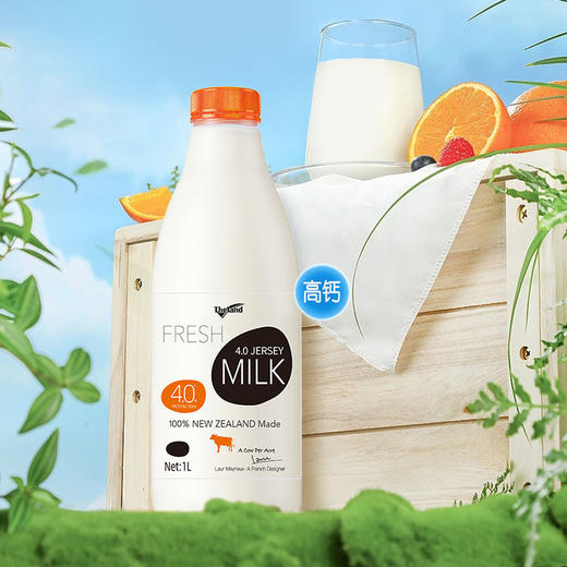 纽仕兰4.0娟姗鲜牛奶1L 商品图5
