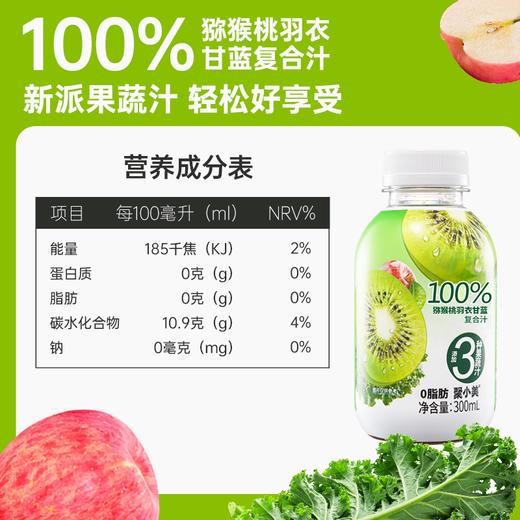 【新派果蔬汁 轻松好享受】羽衣甘蓝猕猴桃果蔬汁 300ML*8瓶/箱 商品图3
