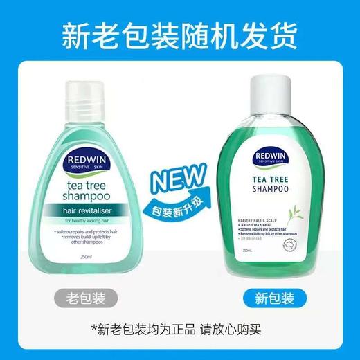 【保税仓/香港直邮】澳洲维特护Redwin天然茶树油草本无硅油洗发水250ml 商品图1