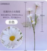 仿真白太阳花1*1束 商品缩略图0