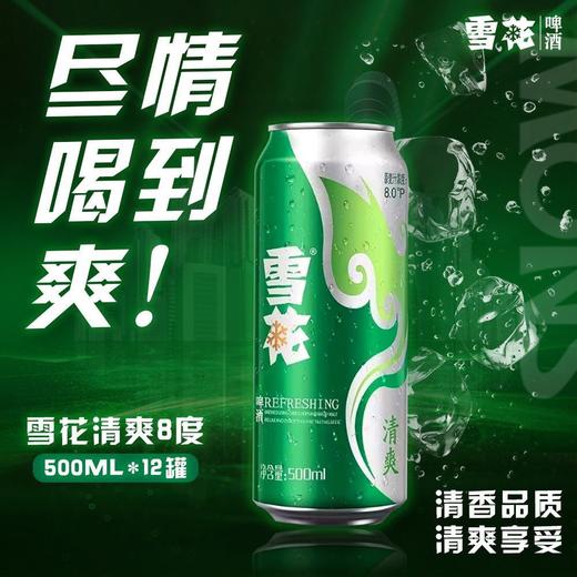 雪花啤酒清爽500ml*12罐正品听装经典黄啤口感【FY】 商品图2