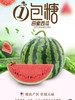【当季必吃】29.9元每颗一包糖西瓜🍉（6斤到7斤左右）口感纯甜 商品缩略图0