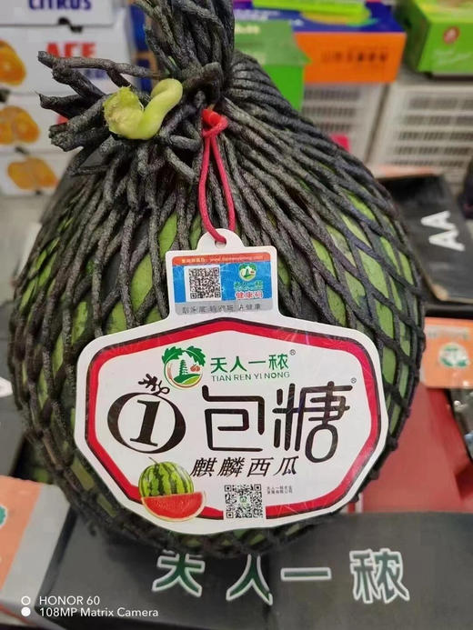 【当季必吃】29.9元每颗一包糖西瓜🍉（6斤到7斤左右）口感纯甜 商品图1