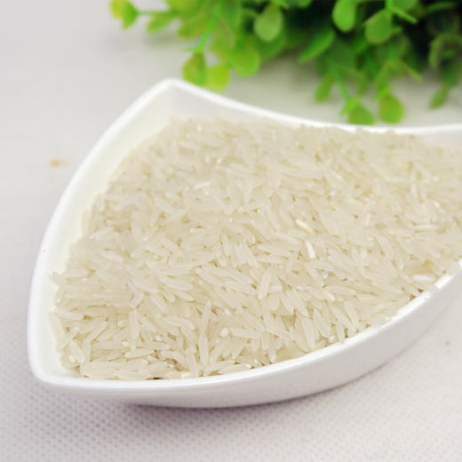 罗田 楚天绿叶 大别山香米5kg/袋 商品图6