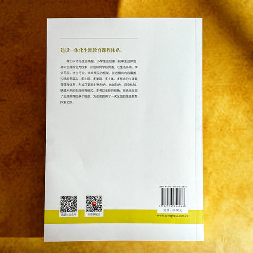 进阶式生涯教育 课程治理现代化丛书 王琦 郭丽萌 学校生涯规划 商品图2