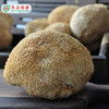 广东清远连州市粤众佳源精选猴头菇150g/袋 商品缩略图2