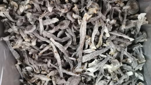 大后方中等鹿茸菇 60g【SCDY】 商品图2