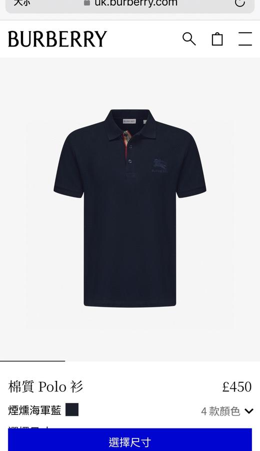 BUR战马刺绣三粒扣珠地Polo衫 纯棉大网孔蜂窝编织珠地 商品图3