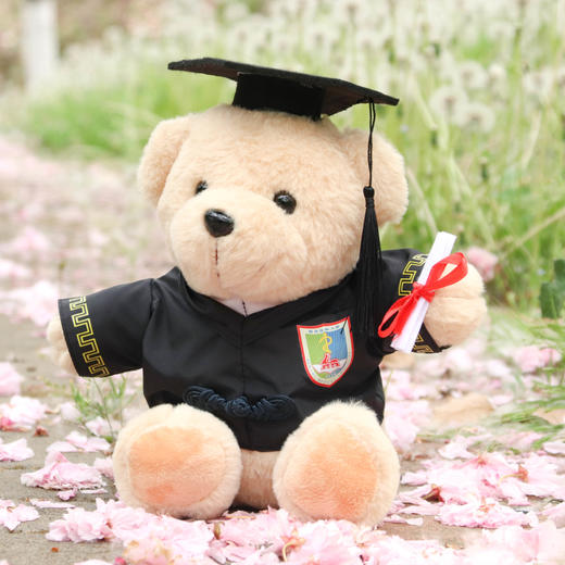 南医学位服小熊 商品图2