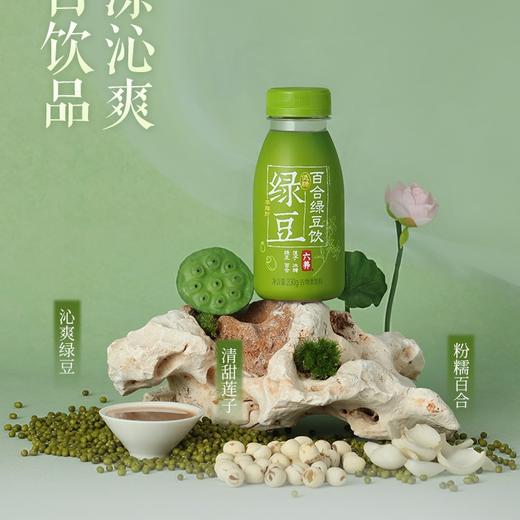 六养莲子百合绿豆饮，口感细腻丝滑，清凉沁爽，只有绿豆、百合、莲子、水、一丢丢冰糖，230g*8瓶 商品图1