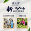 【天士力】帝泊洱普洱茶珍茉莉口味（100支茉莉茶珍礼盒） 商品缩略图9