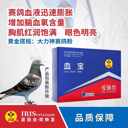 【血宝】增加血氧/赛鸽提速（爱丽丝） 商品图0