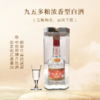九五酒 WL1号  宜宾多粮浓香型白酒  42度 整箱销售(500ml*6瓶） 商品缩略图1