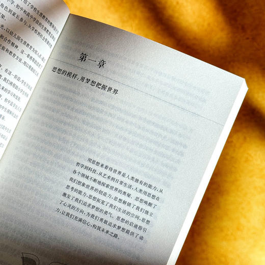 进阶式生涯教育 课程治理现代化丛书 王琦 郭丽萌 学校生涯规划 商品图8