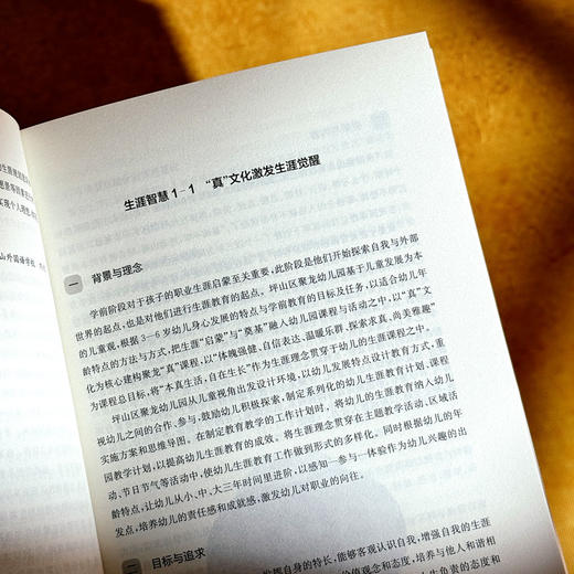 进阶式生涯教育 课程治理现代化丛书 王琦 郭丽萌 学校生涯规划 商品图9