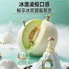 【专属】玉菇甜瓜 冰淇淋口感 软糯香甜当季现摘水果 顺丰包邮 源产地直发 商品缩略图1
