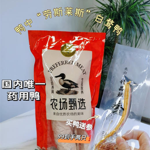 【超值 99元两只】国内顶级益客药用白鹜鸭 鸭肉食材 [再送2根长白山精品保鲜参＋19.9元还可换购同款白鹜鸭一只] 商品图8