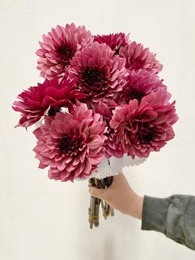 配花 | 大丽花焦糖玛奇朵