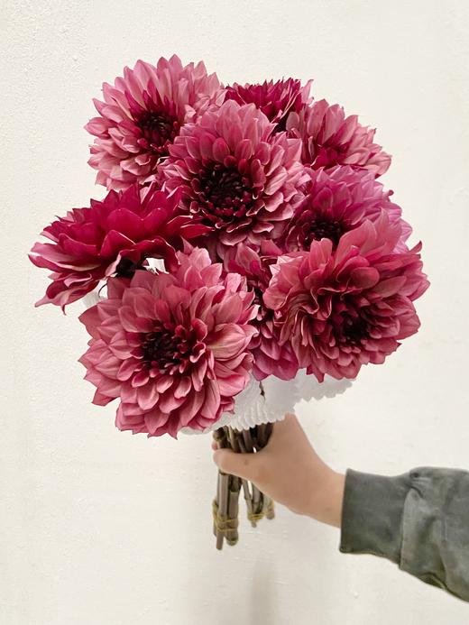 配花 | 大丽花焦糖玛奇朵 商品图0