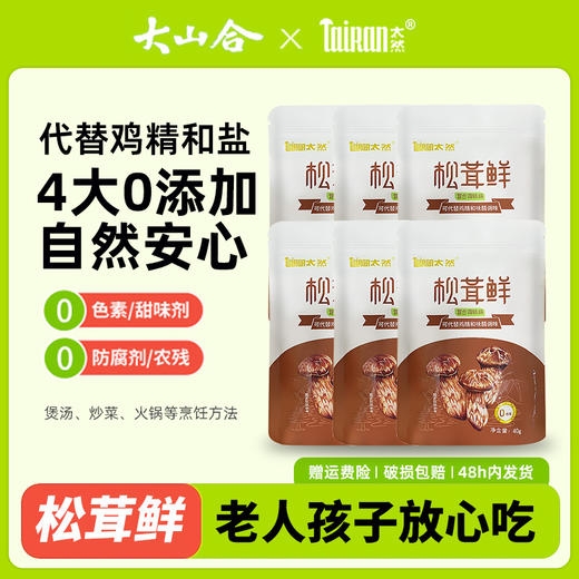 【6袋装】大山合太然松茸鲜调味料 40g/袋 代替鸡精和盐味精 0添加提鲜 商品图0