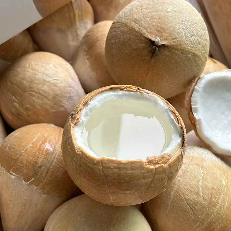 泰国奶香椰皇椰青放入冰箱冷藏保存顺丰快递包邮下单从广州发货