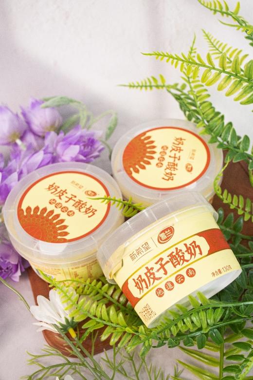 酸奶卷王！！【新希望奶皮子】纯正奶皮子，地道云南味！每100g富含3.8g优质乳蛋白，110mg乳钙 ，丝滑绵绸🥛顺丰冷链发货✈️ 商品图4