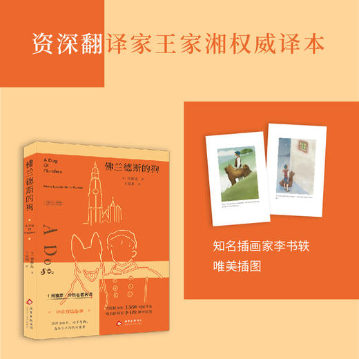 佛兰德斯的狗 商品图1
