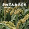 【清心湖甄选&全网比价】有机鲜芽金米（有机小米）5斤  保留胚芽和胚乳 当季新谷粗碾 富含膳食纤维 粗粮杂粮 香软稠黄 黏腻软糯 带盖包装好保存 商品缩略图1