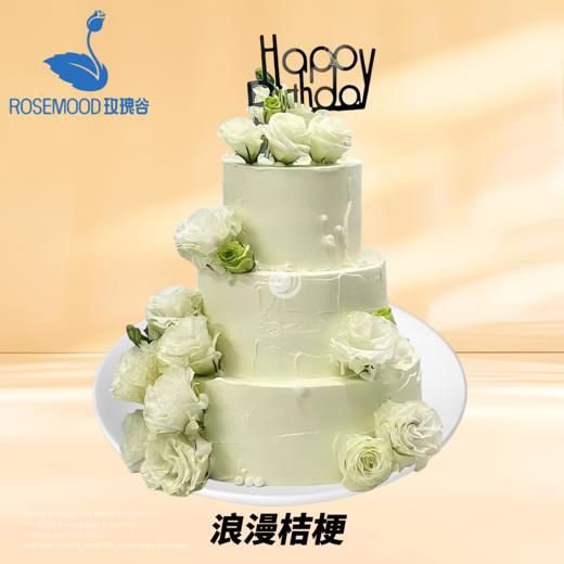 12+10+8英寸三层全年龄段动物奶油生日蛋糕（6选1） 商品图4