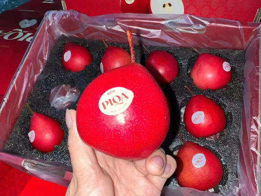 新西兰红梨礼盒  特级果，其他梨都是以清爽为主，这款梨感觉是被蜜蜂亲吻过，带着蜜意带着花香和果糖的甜。每一口都能吃出眯眯眼，每一口都能征服你。 商品图3