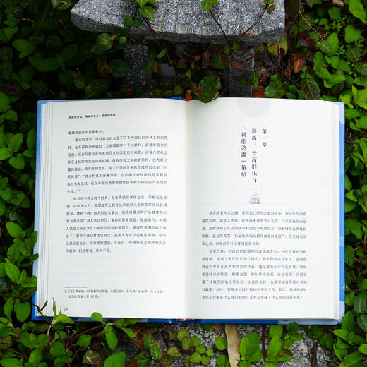 政商现形记：清朝的权力、贸易与商帮 商品图6