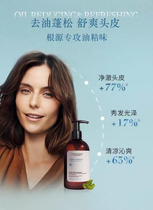 L'OCCITANE欧舒丹 草本香菁纯纯净洗发露 商品图2