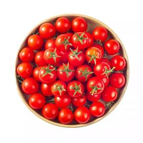 春沐源番茄（红色番茄）250G